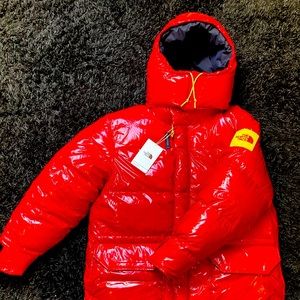 Brown label northface down parka unisex